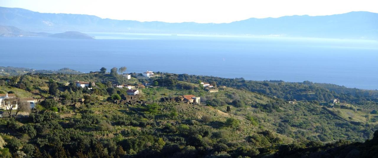 Hill's Barbacane