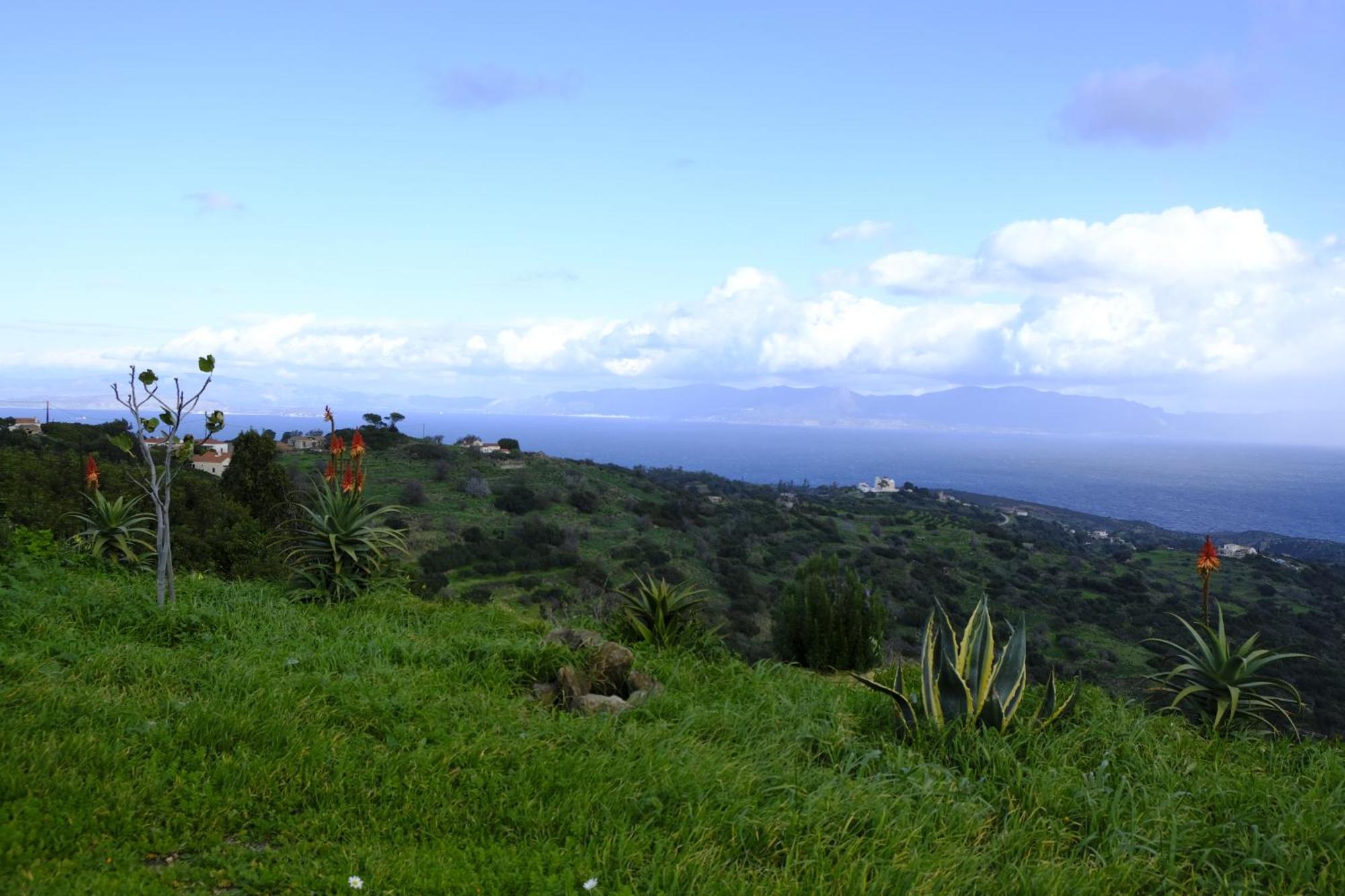 Hill's Barbacane *