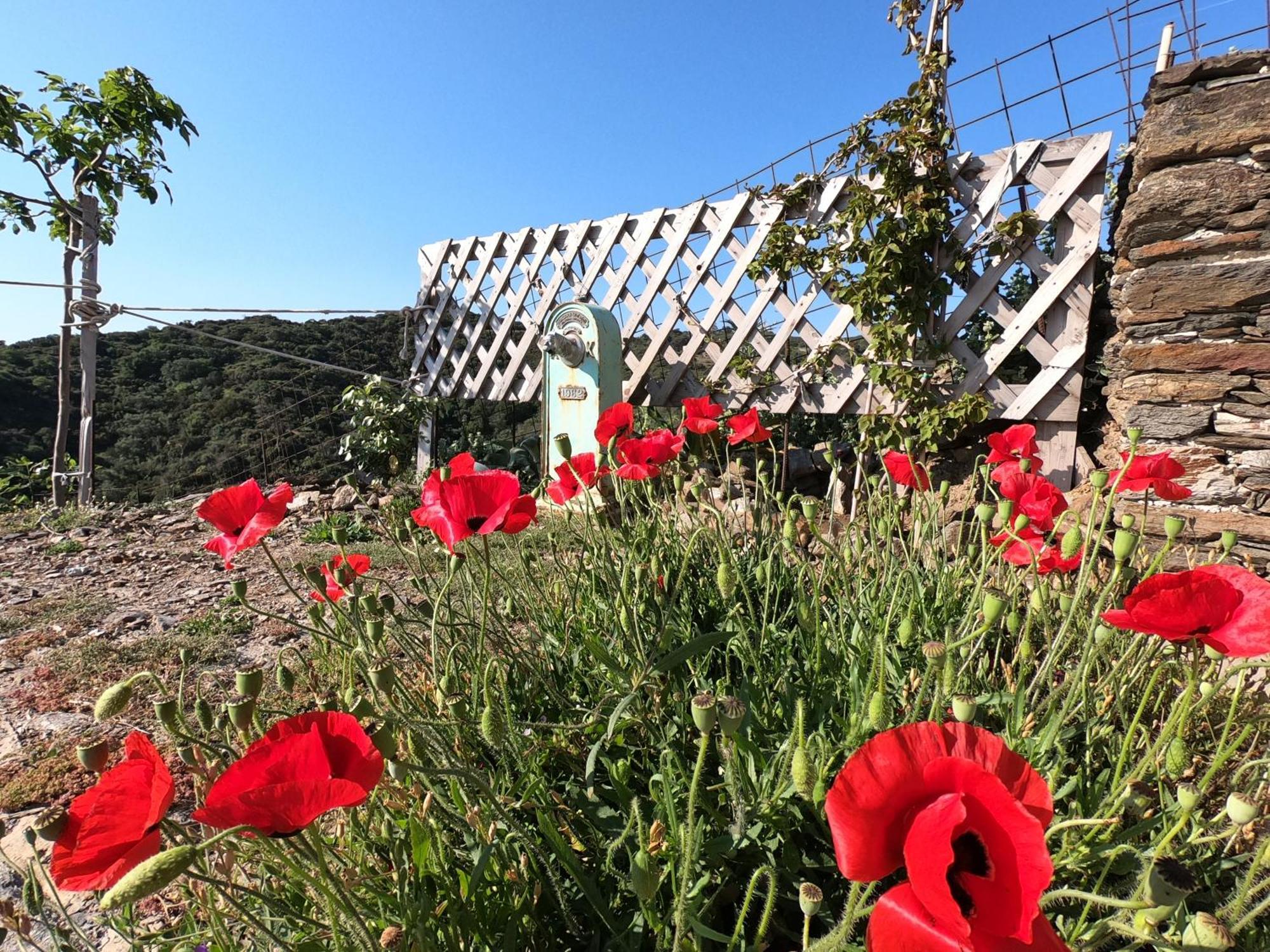 Hill's Barbacane Ferienhaus Potamos (Kythira)